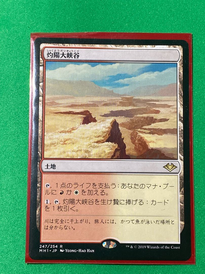 Sunbaked Canyon Rare 247/254