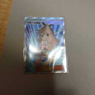 ブルーの探索　sr