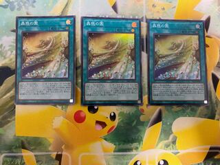 Yu-Gi-Oh! The Garden of Mushrooms Super Rare 3 copies