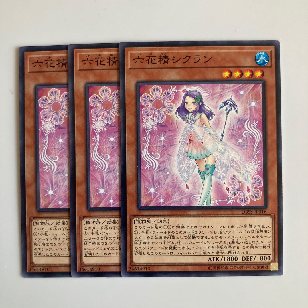 Cyclamen the Rikka Fairy $4767