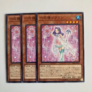 Cyclamen the Rikka Fairy $4767