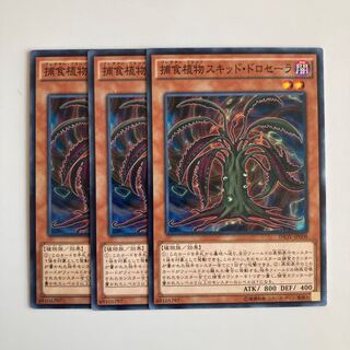 9231 捕食植物スキッド・ドロセーラ ノーマル JP008