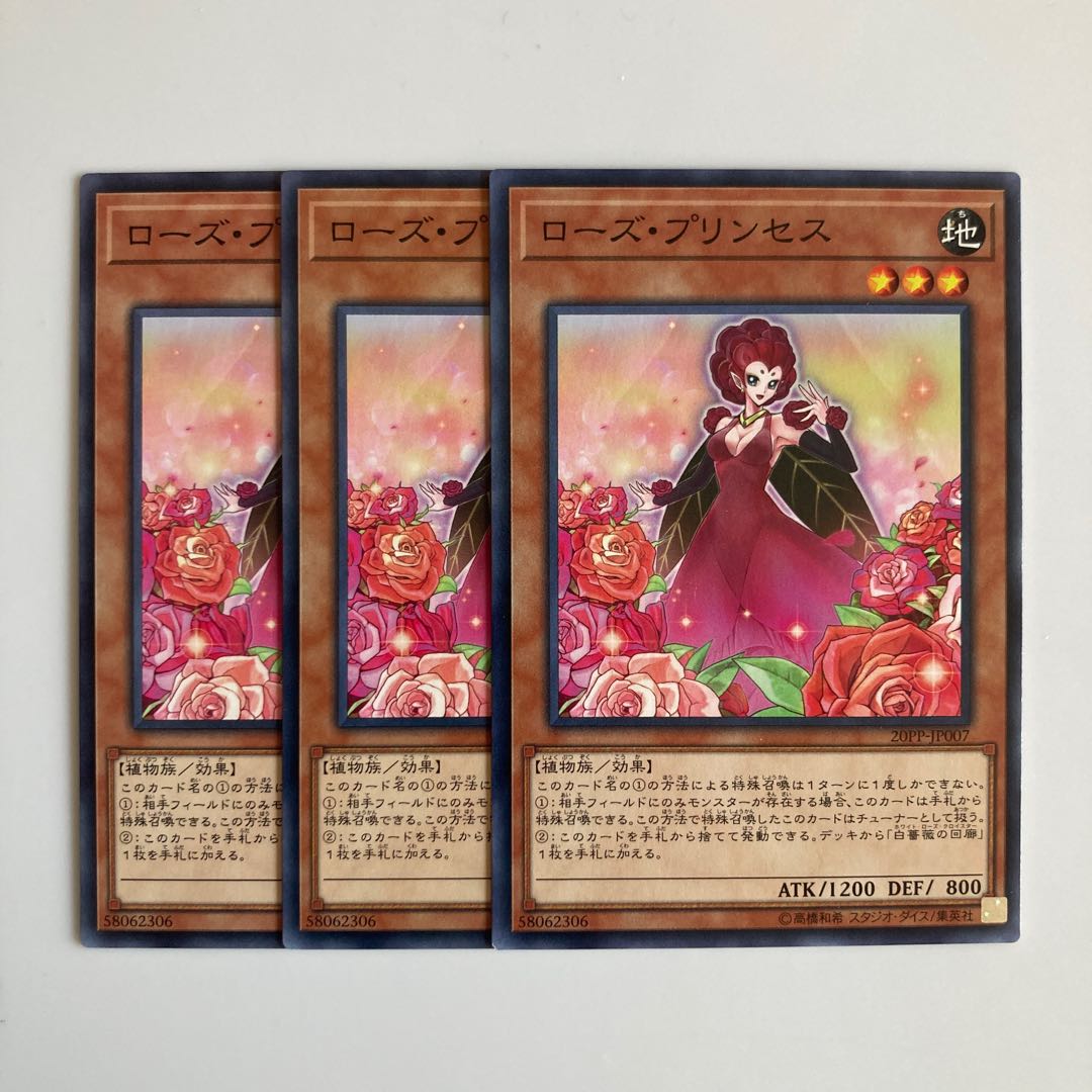 ローズ・プリンセス $4773