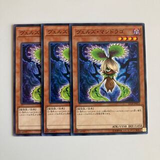 9232 ヴェルズ・マンドラゴ ノーマル JP013