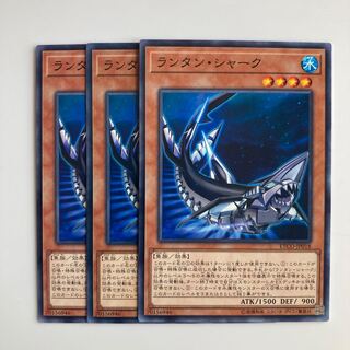 9242 Lantern Shark $4792