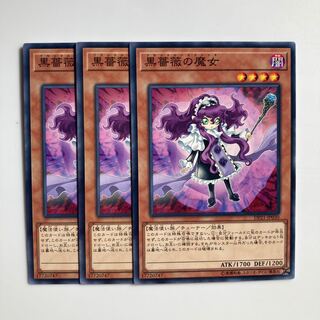 9264 Witch of the Black Rose $4830