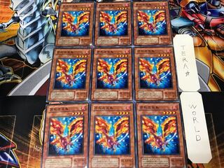 Fushi No Tori MA 2nd period ver 2 Normal 9 pieces Tera