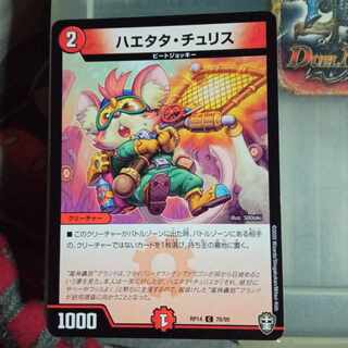 Discounted set Haetata Chu Squirrel C 78/95