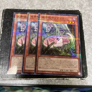 Danger! Tsuchinoko? 3 normal parallels