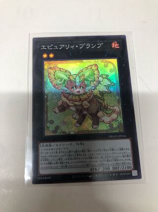 Epurely Plump Super Rare JP016