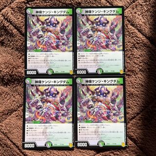 Shinra Kenji Kingdom