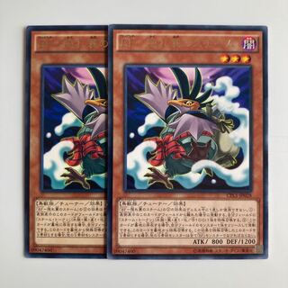 BF-隠れ蓑のスチーム　$4861