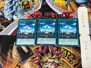 RR-Nest SECE 2 Rare, set of 3 Tera.