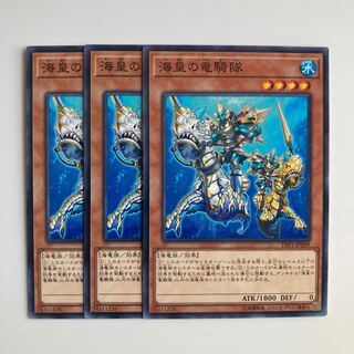 海皇の竜騎隊 $4895