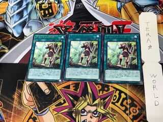 Amazoness Call DP18 1 Rare Set of 3 Tera.