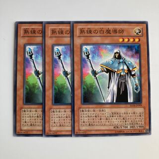 9287 熟練の白魔導師 ノーマル JP009