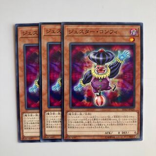 ジェスター・コンフィ $4903