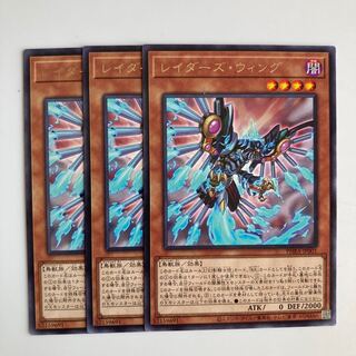 レイダーズ・ウィング $4928