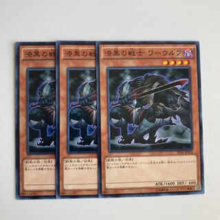 漆黒の戦士 ワーウルフ $4934