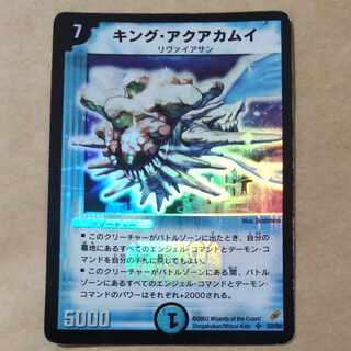 King Aquakamui 1 piece Junk