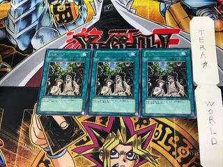 Snake Rain TAEV 5 rare, set of 3 Tera.