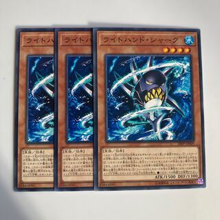 Right-Hand Shark $4966