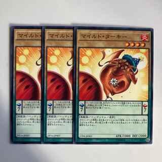 9324 マイルド・ターキー ノーマル JP002