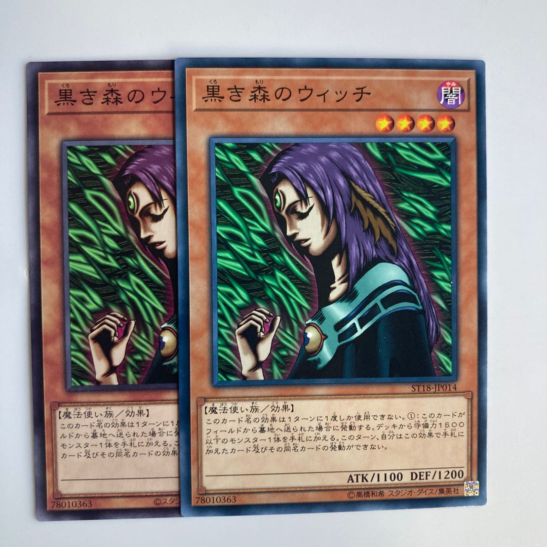 Witch of the Black Forest $5005