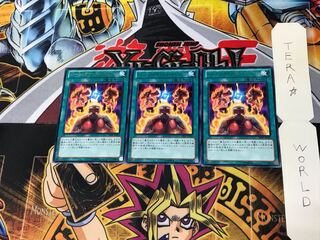 Battlin' Boxing Spirits SHSP 3 rare, set of 3 Tera.