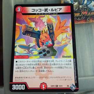 Set Discount Cocco, Bu, Rupiah R 19/74