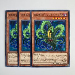 9347 捕食植物ドロソフィルム・ヒドラ ノーマル JP050