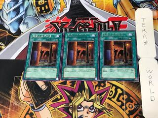 Dark Room of Nightmare 301 3 rare, set of 3 Tera.