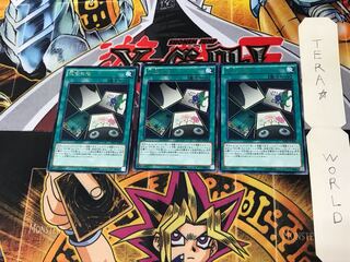 Flower Gathering CPF1 3 Rare Set of 3 Tera