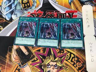 Vessel for the Dragon Cycle RIRA 5 rare, set of 3 Tera. 3枚