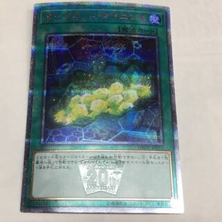 サイバネットマイニング 20thシク