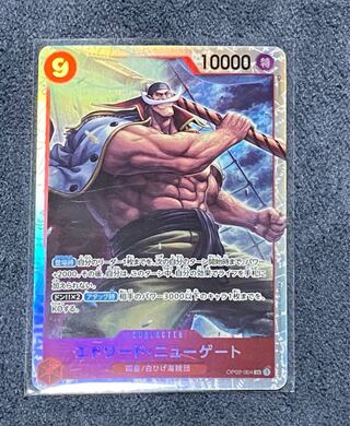 エドワード・ニューゲートSR