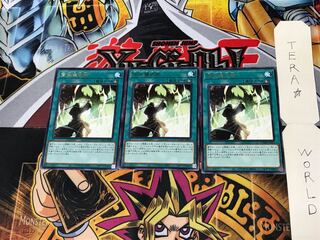 High Ritual Art DAMA 1 rare, set of 3 tera