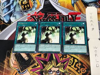 High Ritual Art DAMA 3 rare, set of 3 Tera.