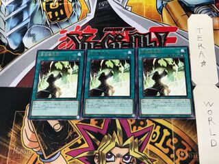 High Ritual Art DAMA 5 rare, set of 3 Tera.