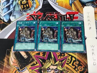 Tribute to The Doomed BE1 3 Rare Set of 3 Tera.