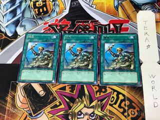 Reinforcements DL5 1 rare, set of 3 Tera.