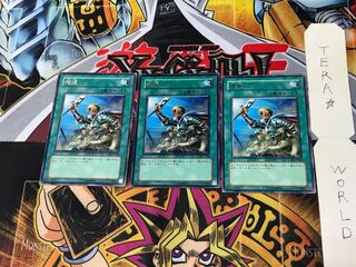 Reinforcements DL5 2 Rare Set of 3 Tera.