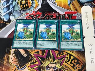 Miracle Fertilizer DE03 2 rare, set of 3 Tera.