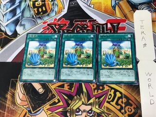 Miracle Fertilizer DE03 3 rare, set of 3 Tera.