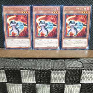 【ぽぽたん】遊戯王  #753  エヴォルド・カシネリア 3枚 レア