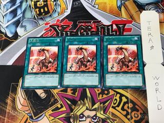 Heat Wave STBL 5 rare, set of 3 Tera.