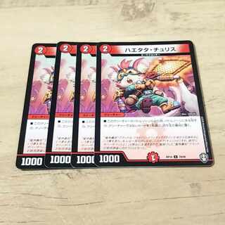 Haetata Chu Squirrel C 78/95