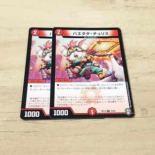 Haetata Chu Squirrel C 78/95