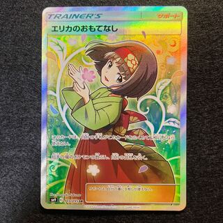 Erika's Hospitality SR 107/095