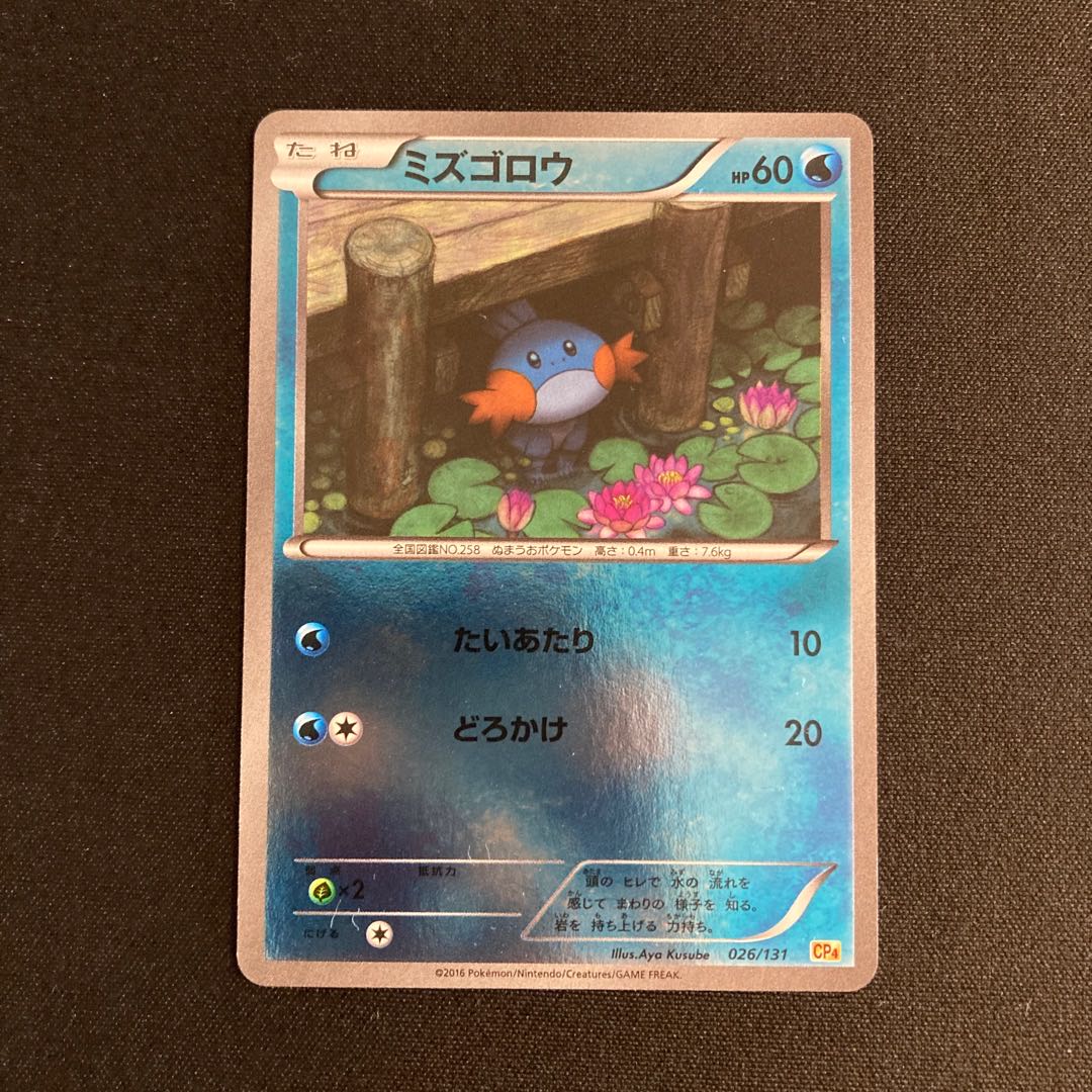 Exclusive (3 items)f343 Mudkip CP4 Premium Champion Pack Pokémon Treasure